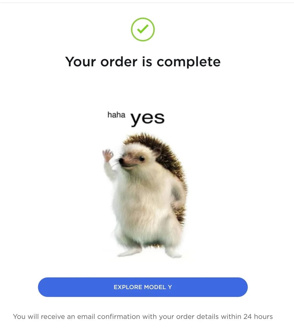 Tesla order confirmation screen featuring the Haha Yes hedgehog
