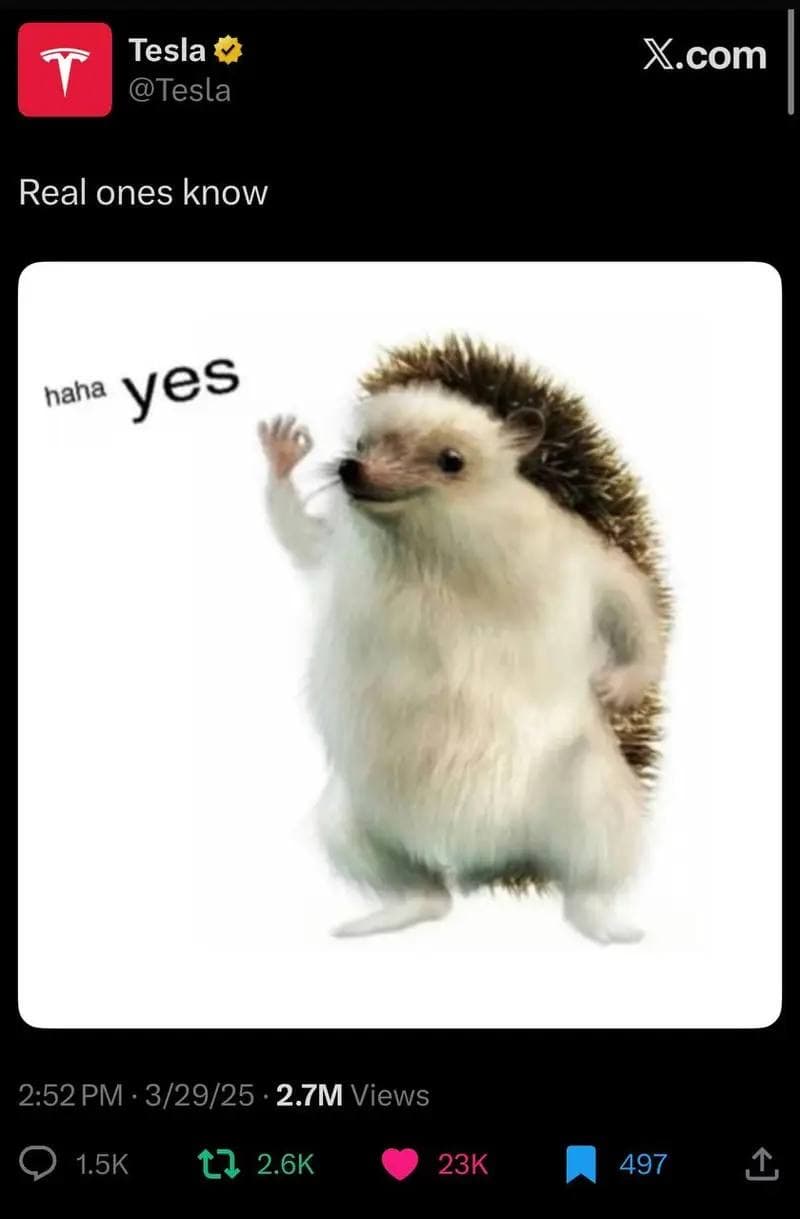Tesla's official X account post captioned "Real ones know" featuring the hedgehog